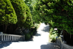 神社から帰る