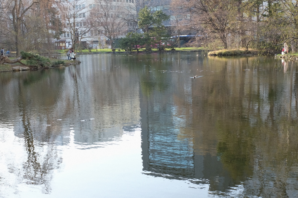 池に映った都会