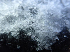 ちょっと前まで雪があったのに