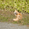 ポカポカ陽気に