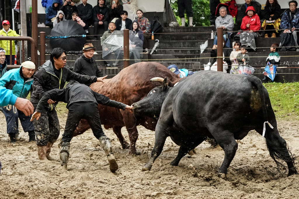 刹那、鼻を取る