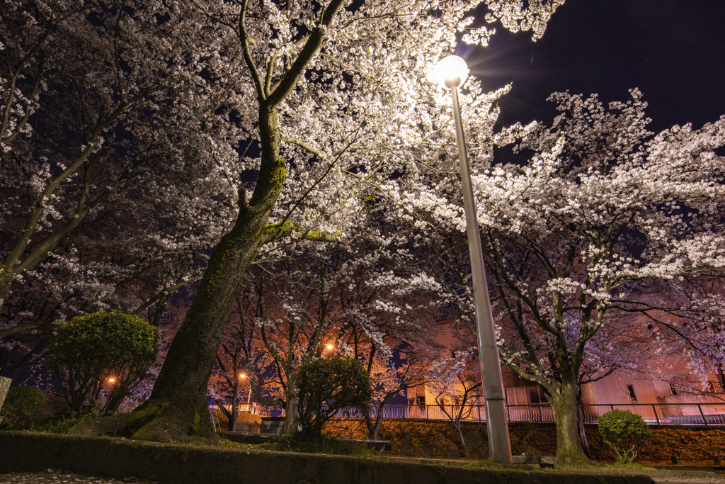 公園にて