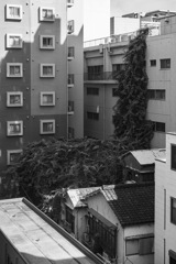 街の片隅にて這い延びる
