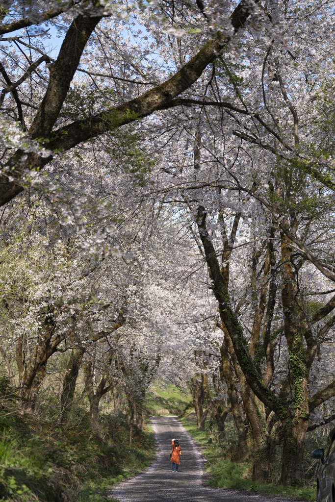 城址への道にて