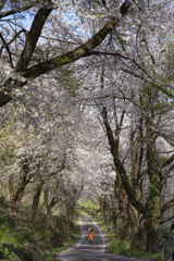 城址への道にて