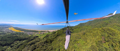 アゲハ蝶が飛ぶ空