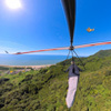 アゲハ蝶が飛ぶ空