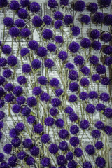 ドライフラワー手前