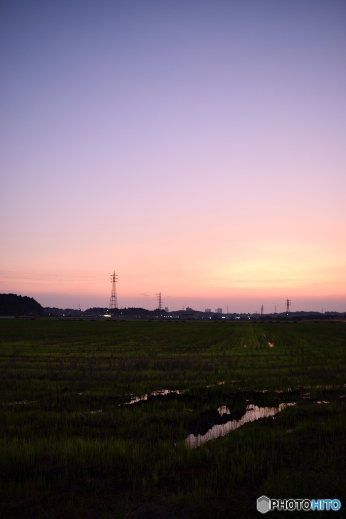 雲ひとつない夕陽