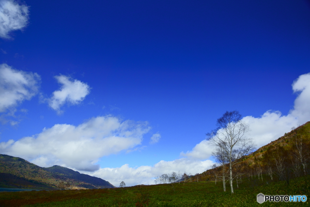 青い空と白い雲