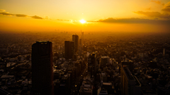 都心の夕景