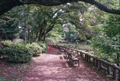 ベンチ