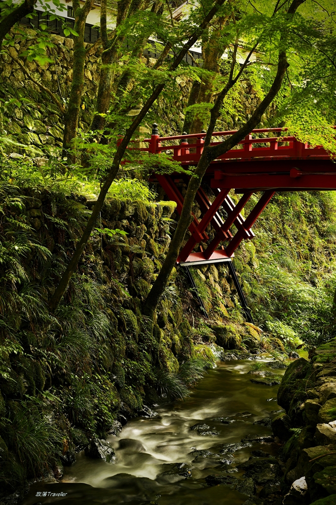 横蔵寺：緑と赤