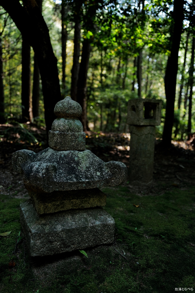 海南市：杉尾神社２
