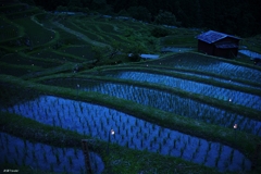 丸山千枚田：火が灯る虫送り