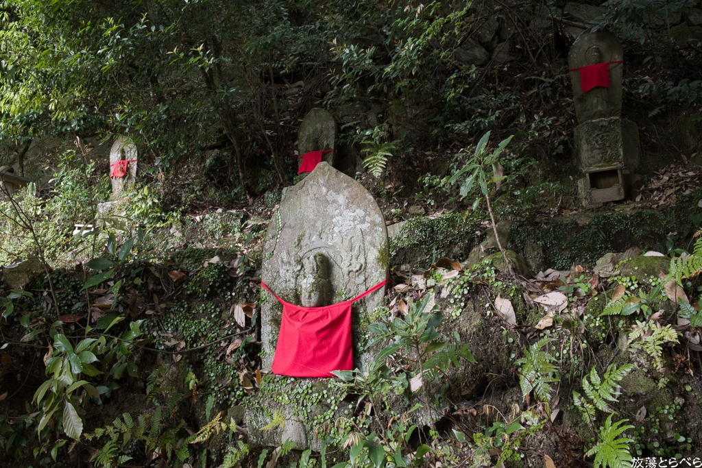 Snap@GRⅢ：松尾寺５