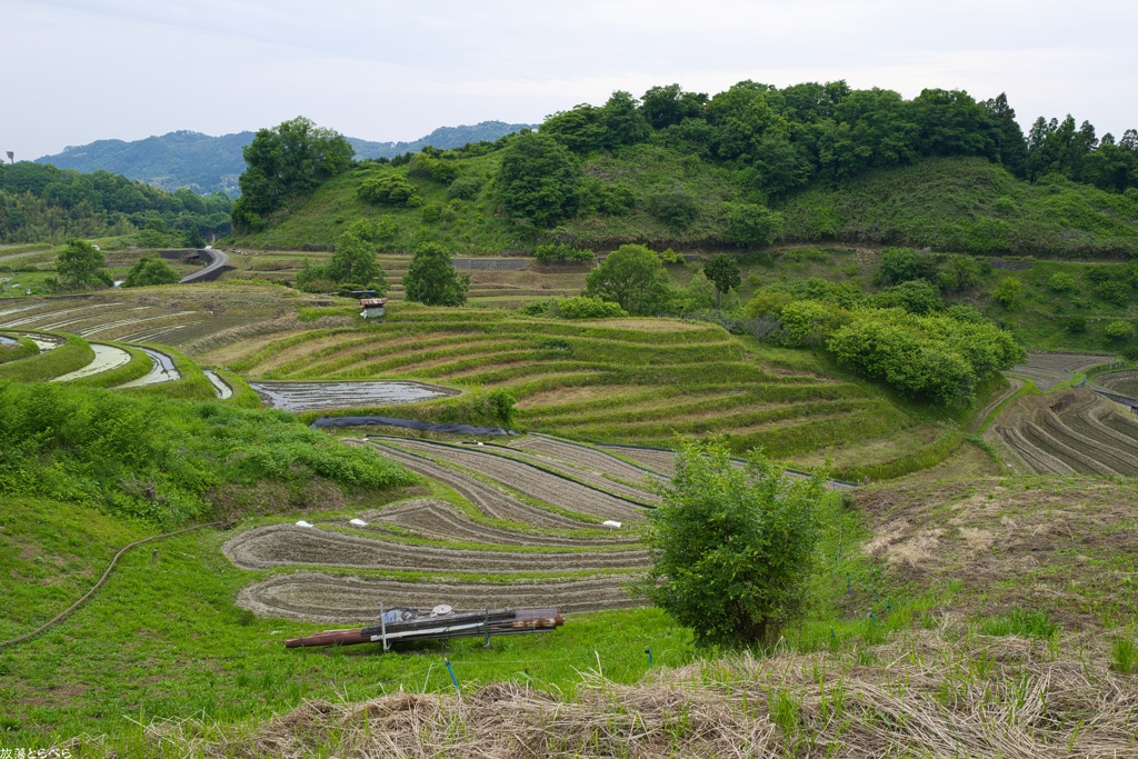 Snap@Q2：下赤阪の棚田