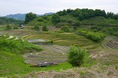 Snap@Q2：下赤阪の棚田