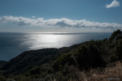西山緑地公園：冬の海の遠景