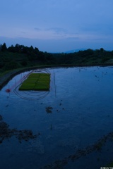 Snap@Q2：下赤阪の棚田２