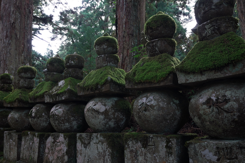 高野町：奥の院②