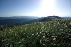 紀美野町：生石高原⑤