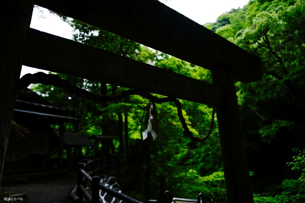 天岩戸神社：ダークな鳥居