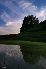 下赤阪の棚田：黄昏時の情景