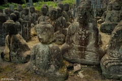 鵜川四十八体石仏群：風化する仏像たち