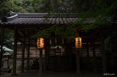 等彌神社：真夏の山陰にて