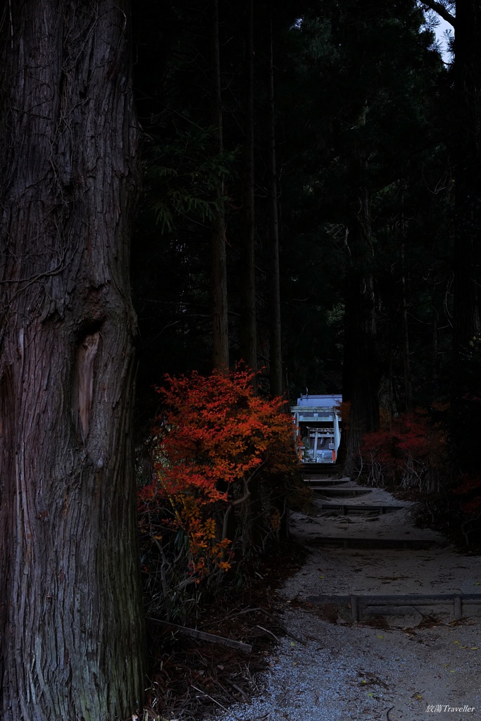 高天彦神社：参道を彩る紅一点