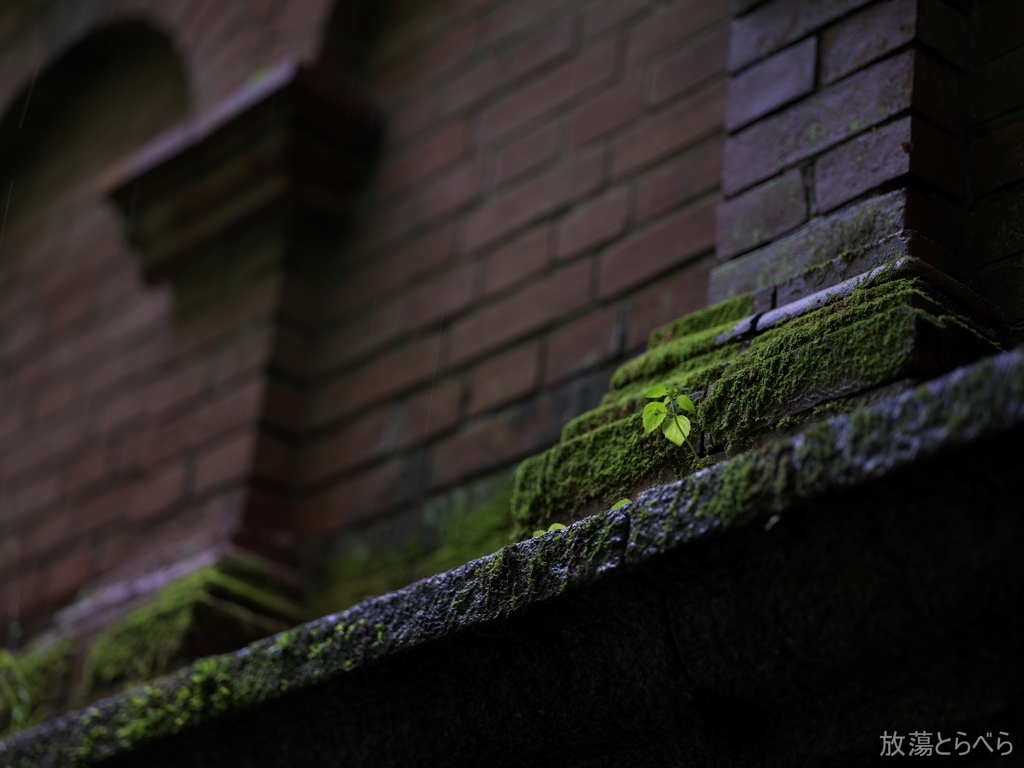 京都市：南禅寺