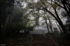 神池寺：雨と霧をまとう本堂