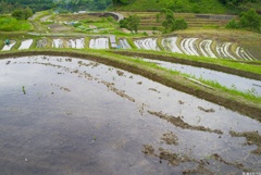 Snap@Q2：下赤阪の棚田４