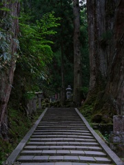 奥の院参道：御廟への道