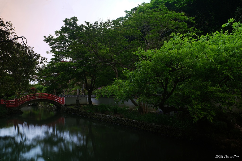 大澤寺：静寂の緑