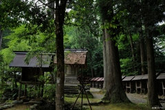皇大神社：木々に囲まれた社たち