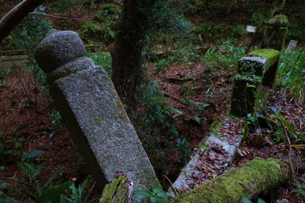 Snap@GRⅢ：施福寺２