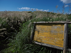 紀美野町：生石高原⑦
