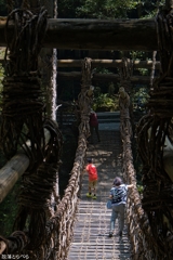 G5XⅡ＠祖谷蔓橋：安易な気持ちで渡るべからず