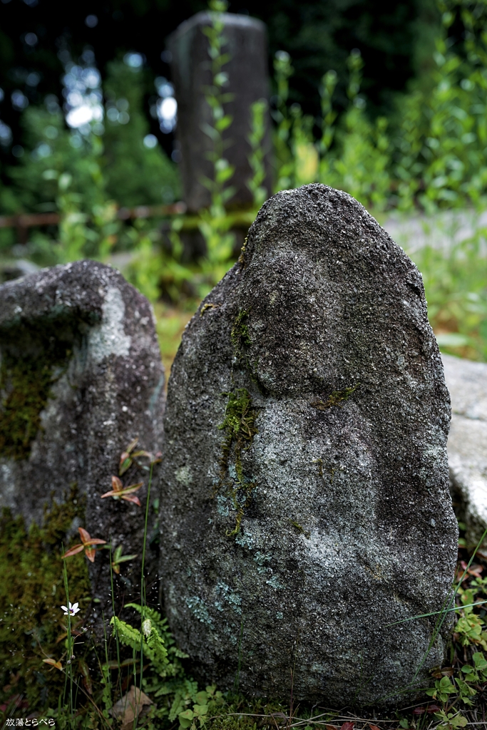 鵜川四十八体石仏群：取り巻きの小さな石仏たち１