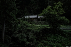 石清水八神社＠河内長野市：鬱蒼の中の神社