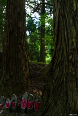 Q2@高野山：巨木の隙間地蔵