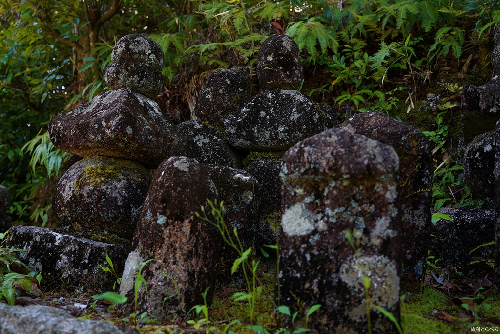 石塔寺：黄昏の石塔たち