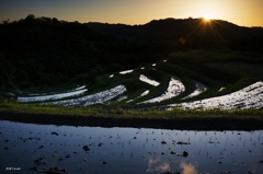 下赤阪の棚田：黄昏時の水田