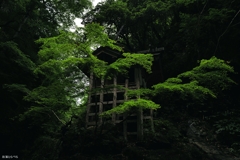 天岩戸神社：緑に彩られた社