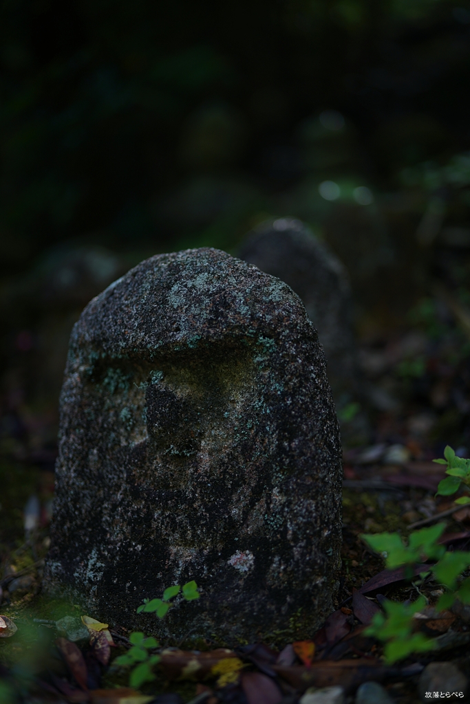 石塔寺：ひっそりと陰る石仏