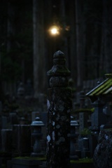 奥の院参道：後光に照らされて