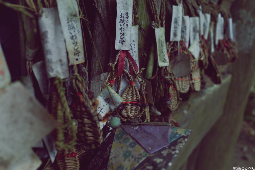 Snap@GRⅢ：施福寺４