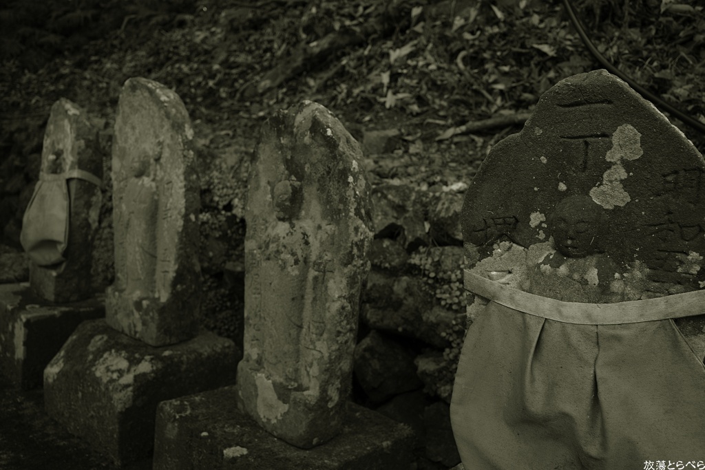 Snap@GRⅢ：津照寺